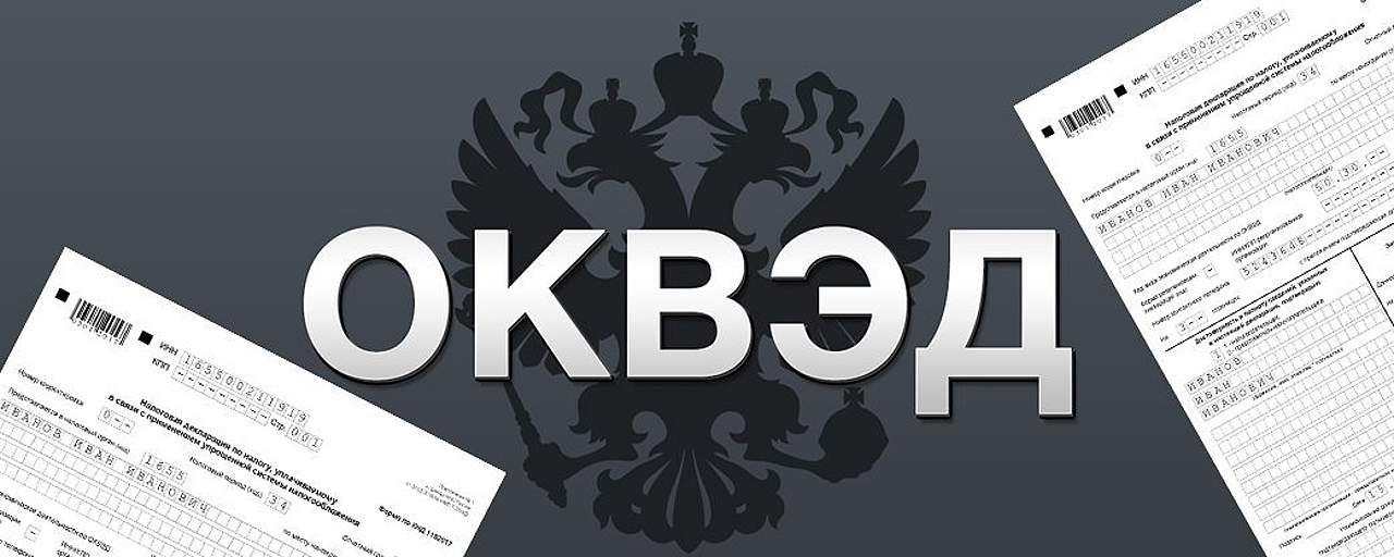 Коды ОКВЭД для медицинских услуг ИП: подробный обзор